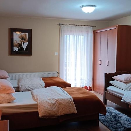 Apartment Medo Ravna Gora Kültér fotó