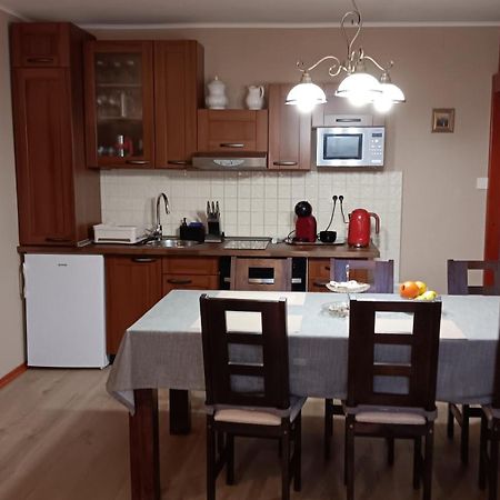 Apartment Medo Ravna Gora Kültér fotó