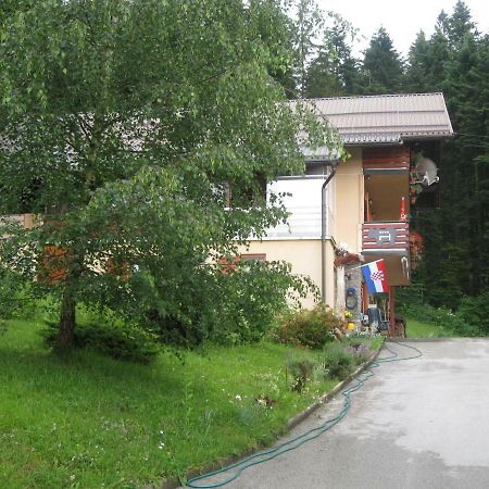 Apartment Medo Ravna Gora Kültér fotó