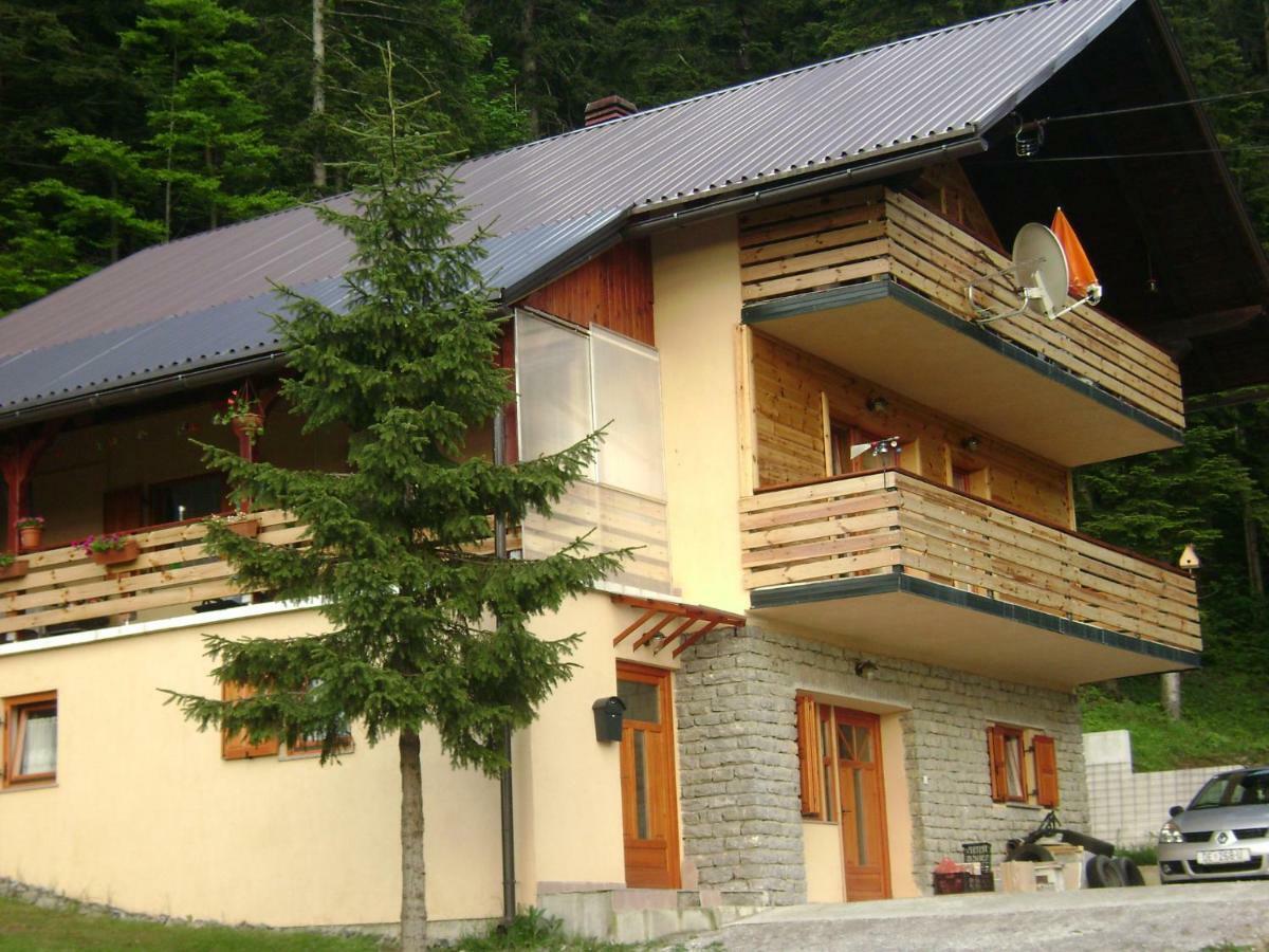 Apartment Medo Ravna Gora Kültér fotó